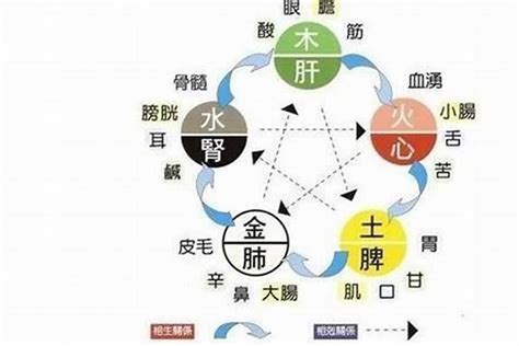 缺水五行|五行缺水的人注意什么